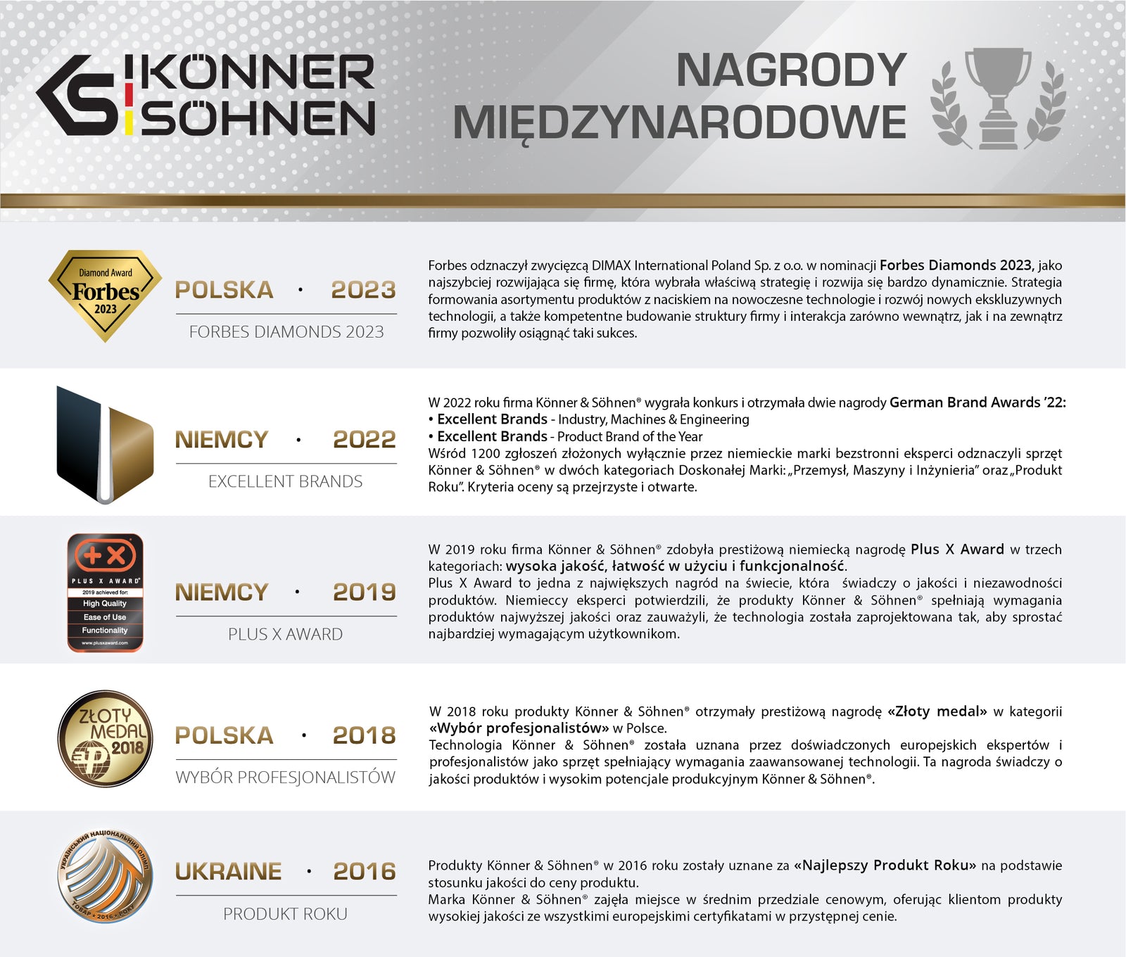 Bezprzewodowa piła łańcuchowa KS CS20V-12