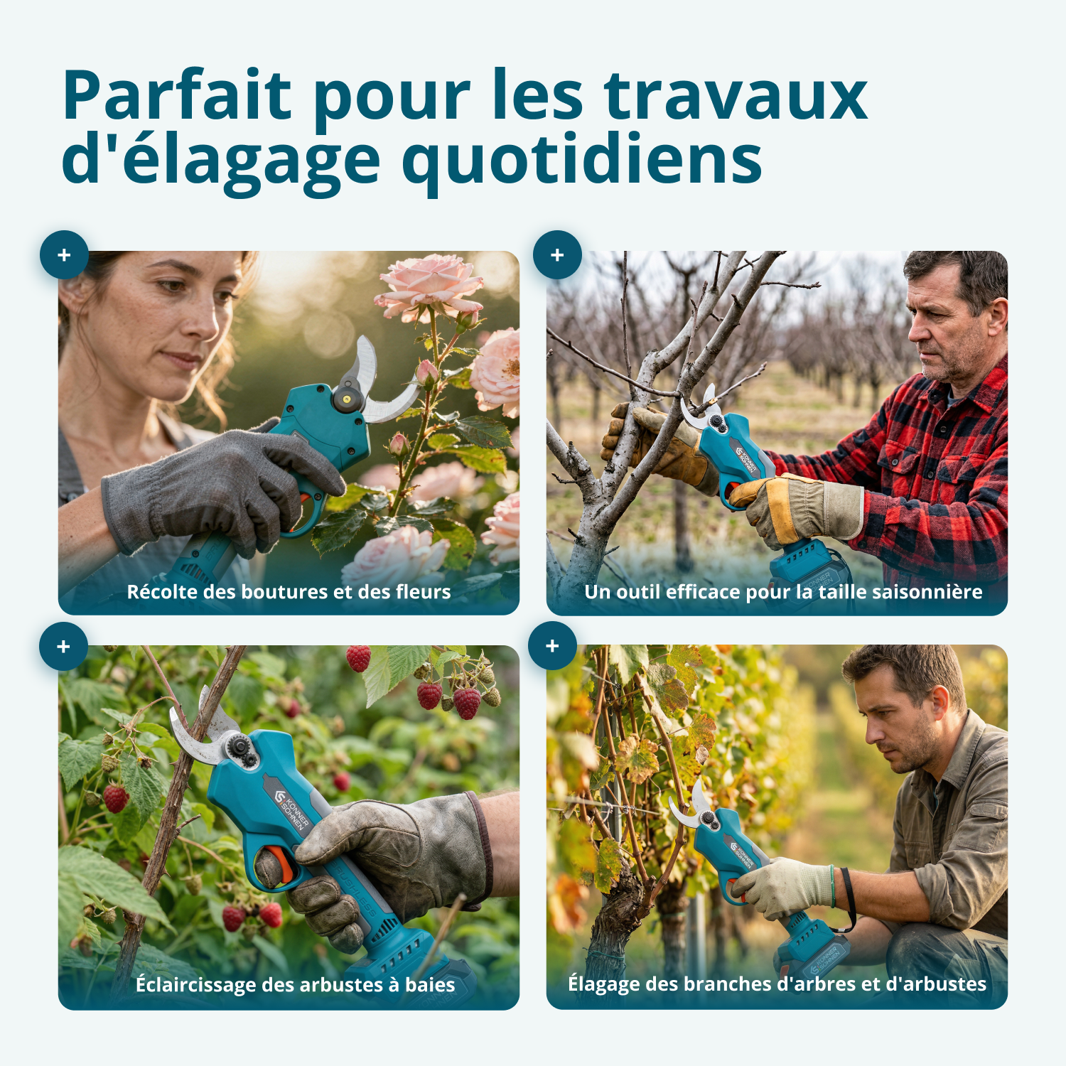 Kit promotionnel d’élagage KS MCS-CSP-SET