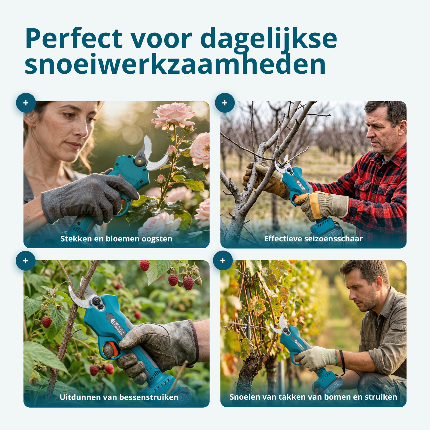 Promotionele Snoeiset KS MCS-CSP-SET